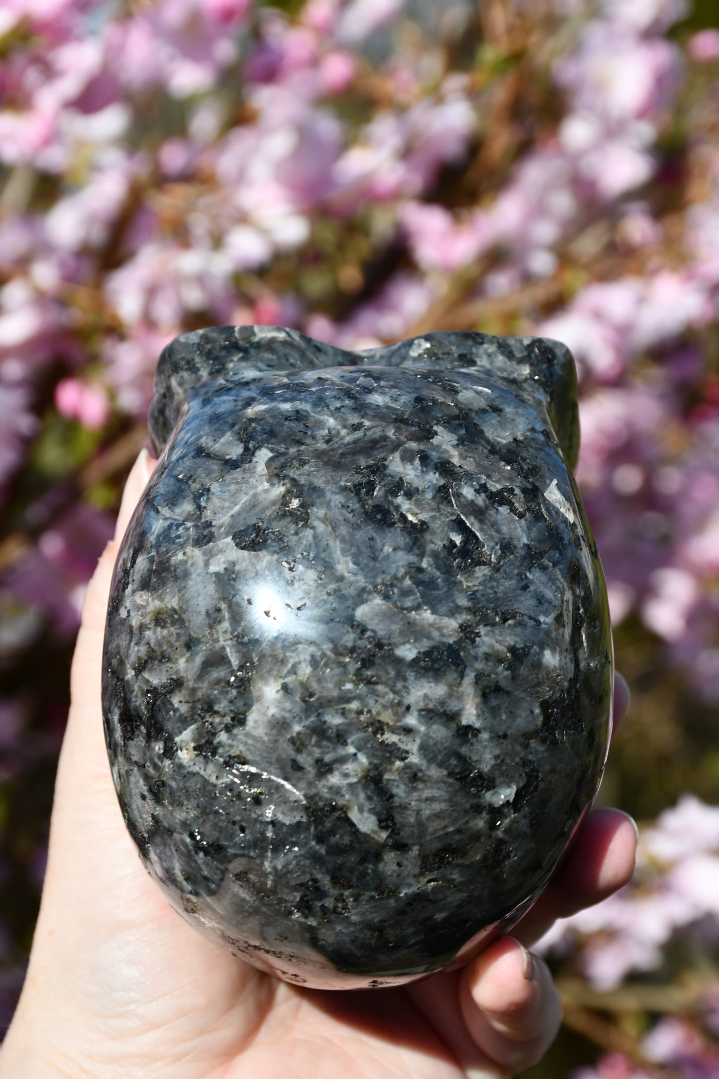Larvikite star being