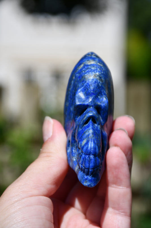 Lapis lauzuli Manus skull