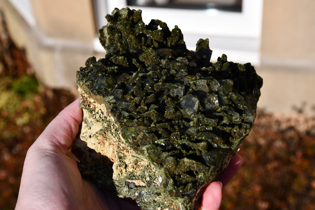 "Fairy forest" diopside and quartz cluster on matrix