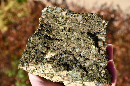 "Fairy forest" diopside and quartz cluster on matrix