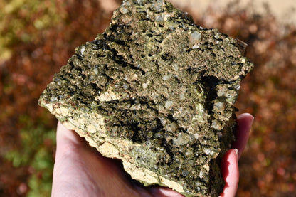 "Fairy forest" diopside and quartz cluster on matrix