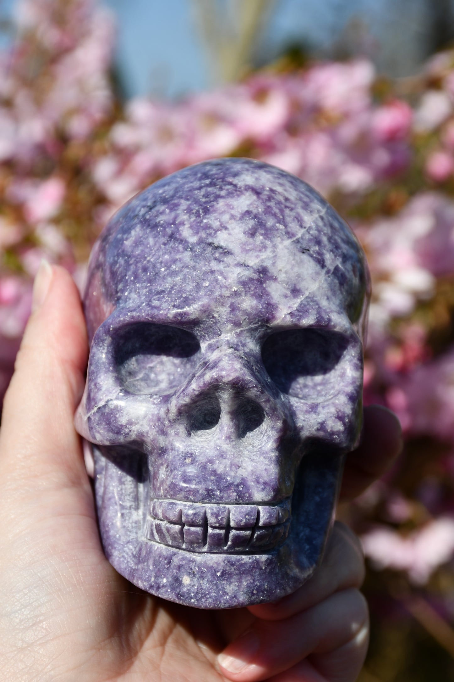 Lepidolite skull