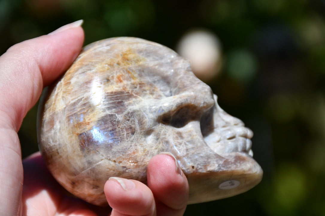 Moonstone and sunstone skull carve (larger)