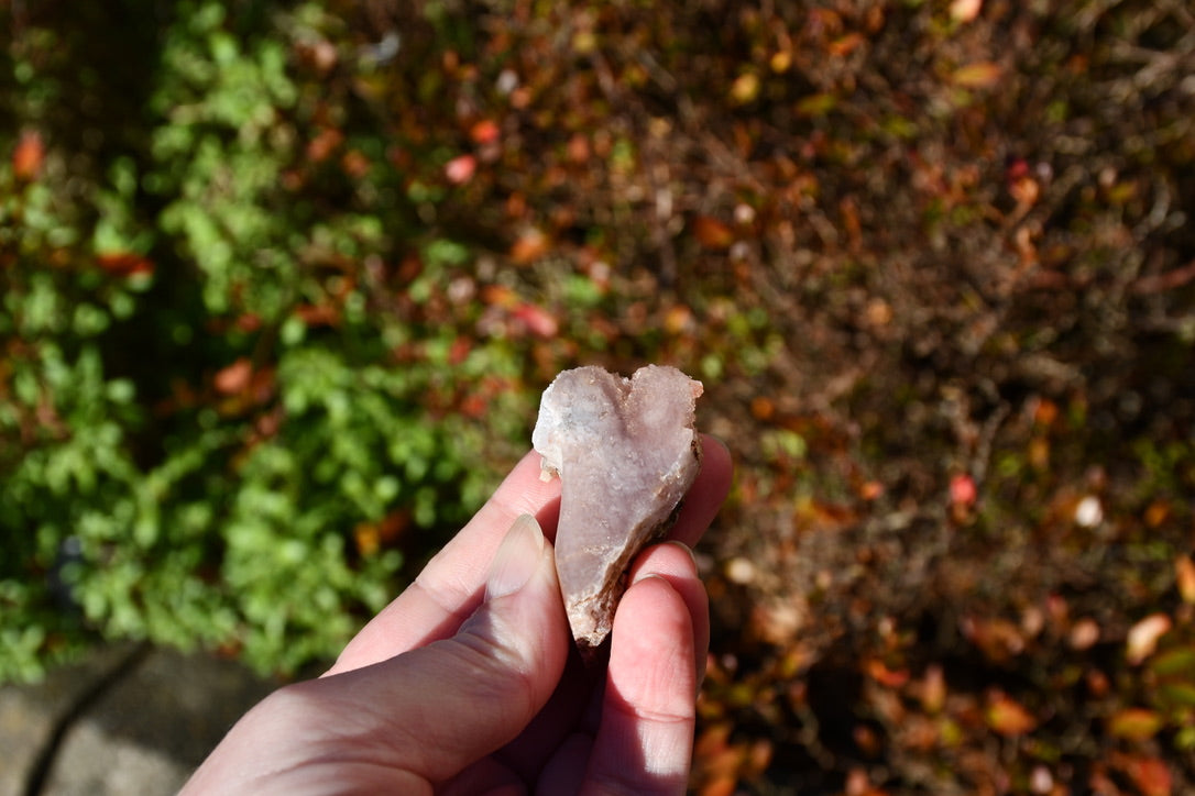 Pink amethyst butterfly carve - warrior