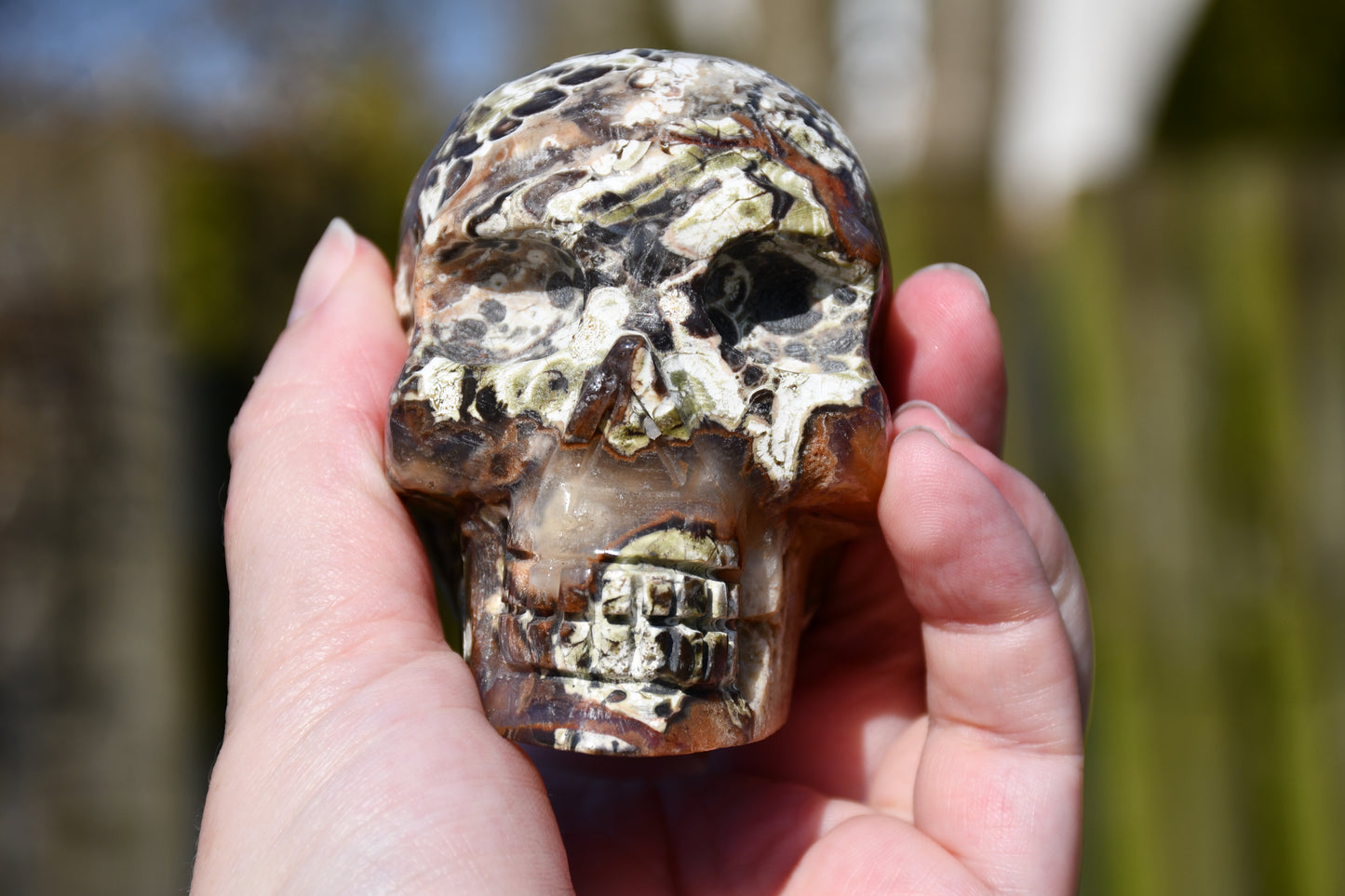 Rhyolite quartz skull