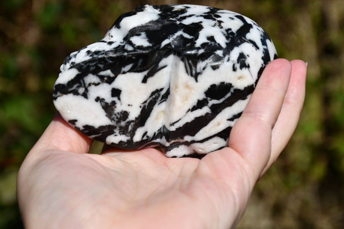 Zebra jasper skull carve