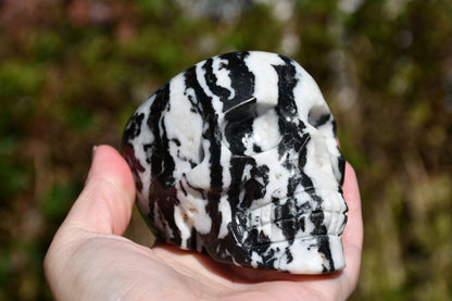 Zebra jasper skull carve