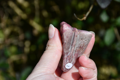 Red garnet or rhodonite dragon - Manus carve