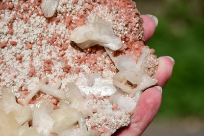Mixed zeolites on matrix