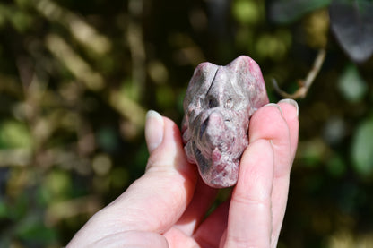 Red garnet or rhodonite dragon - Manus carve