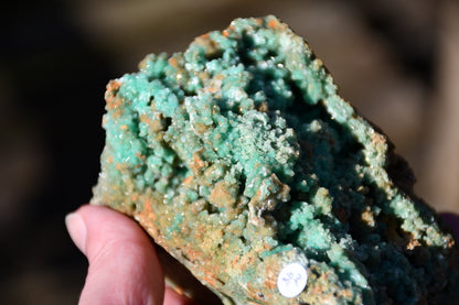 Unknown specimen crystal