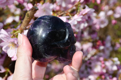 Purple fluorite skull