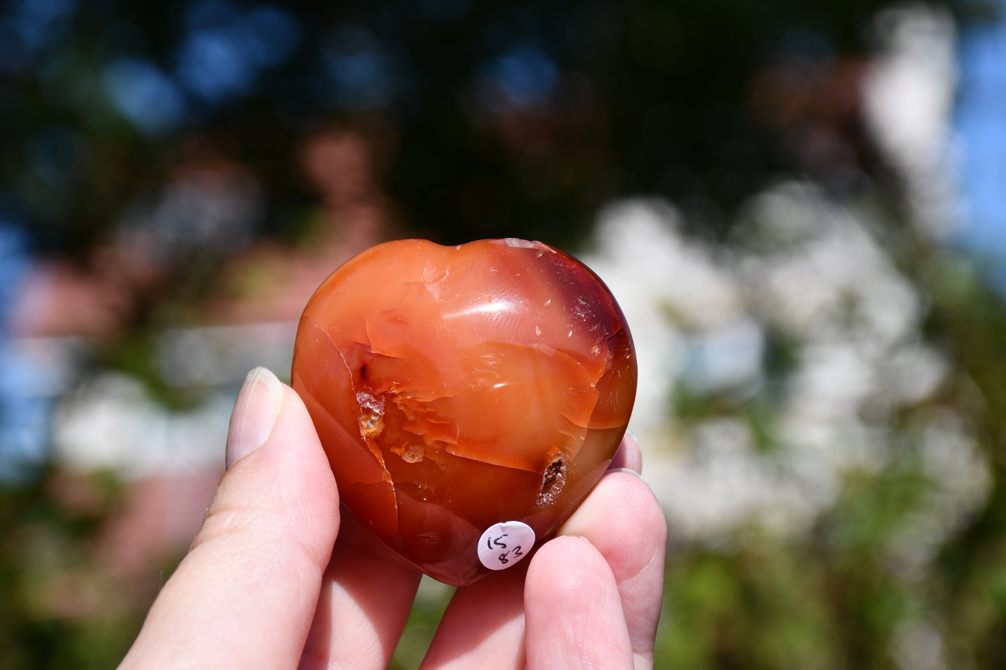 Carnelian heart