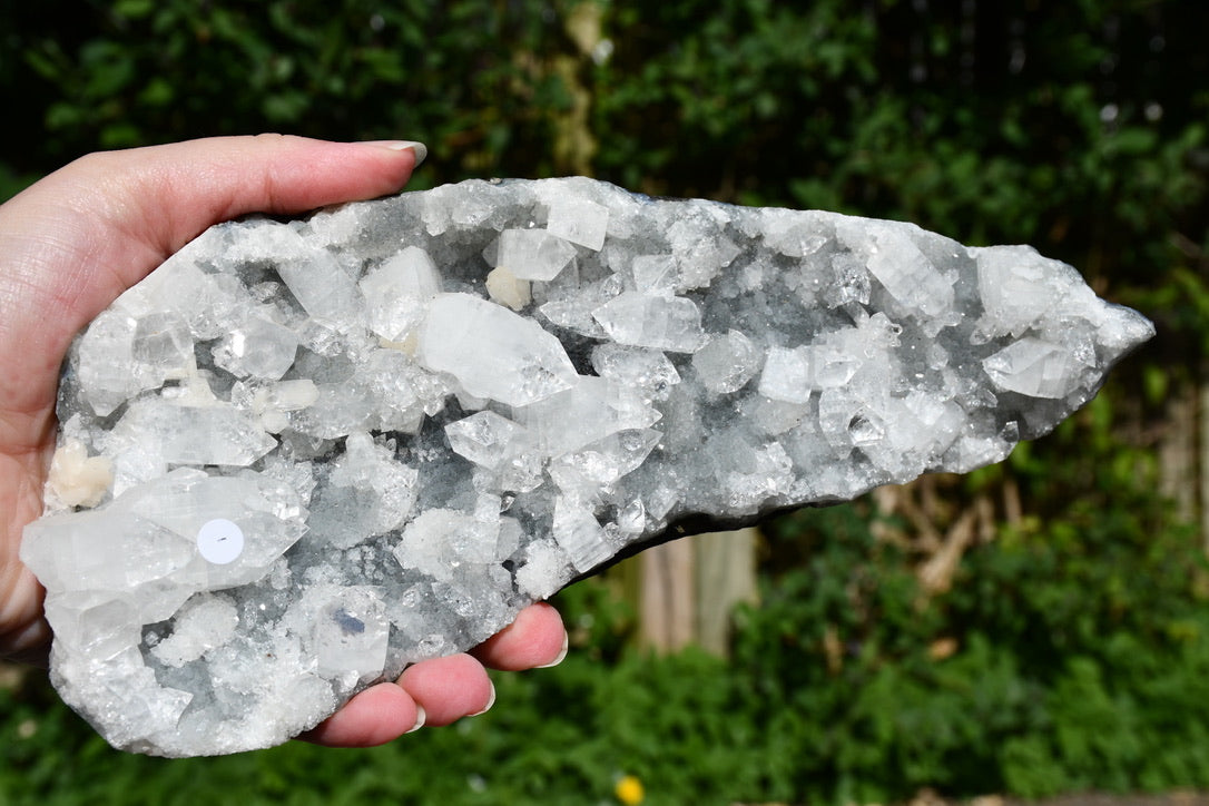 Apophyllite and zeolite cluster