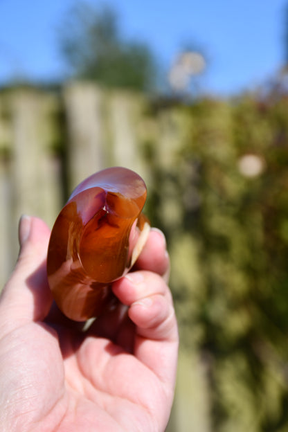 Carnelian/ agate and carnelian flame