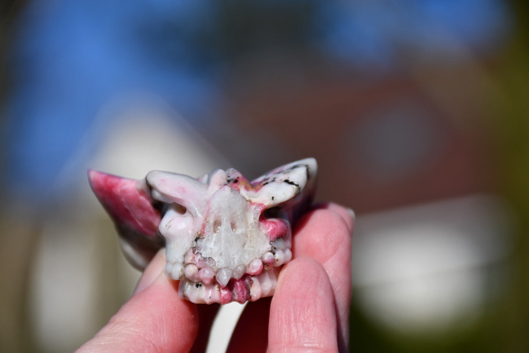 Tugtupike dragon - Manus carve