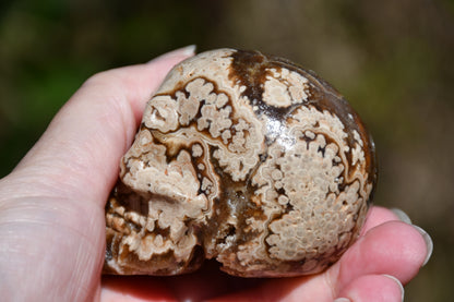 Aragonite carved skull