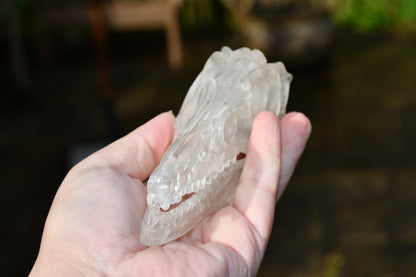 clear quartz Dinosaur skull