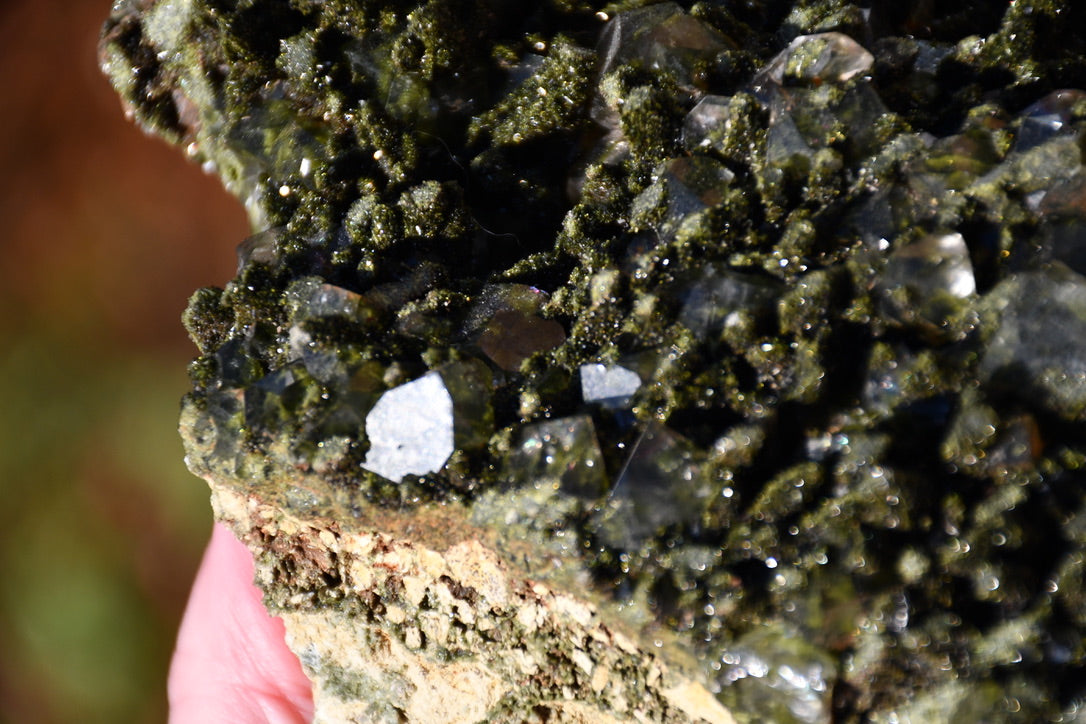 "Fairy forest" diopside and quartz cluster on matrix