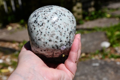 Kiwi jasper Mitchell Hedges inspired skull carve