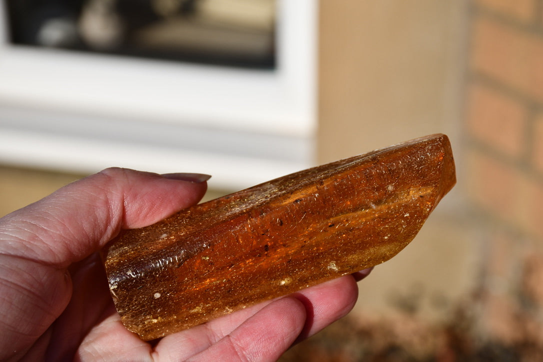 Copal or Amber with fossilised insects