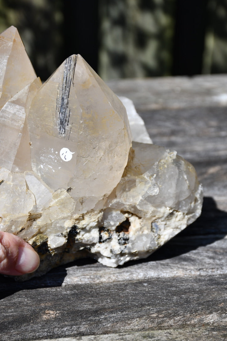 Himalayan quartz cluster with black tourmaline and mica