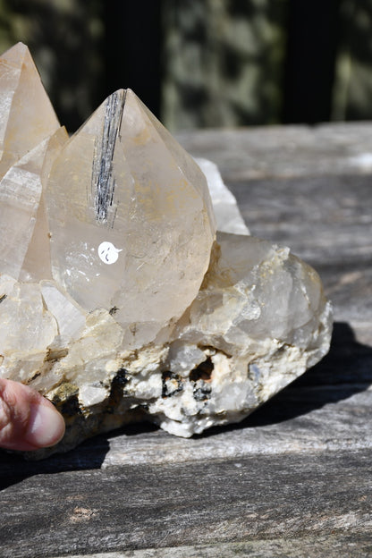 Himalayan quartz cluster with black tourmaline and mica