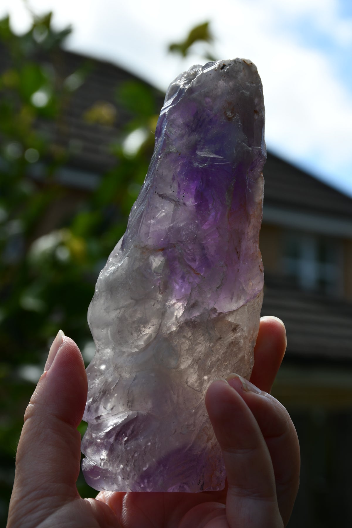 Manus phantom amethyst tribal skull carve