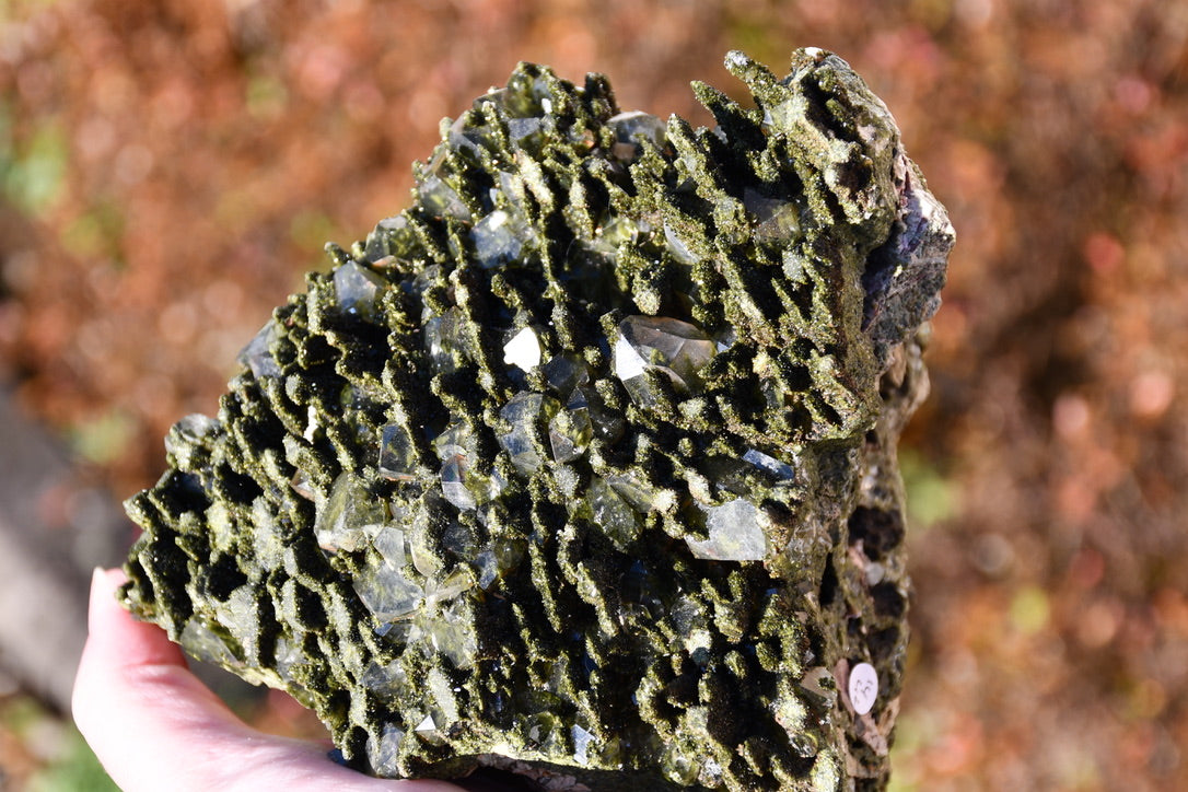 "Fairy forest" diopside and quartz cluster on matrix