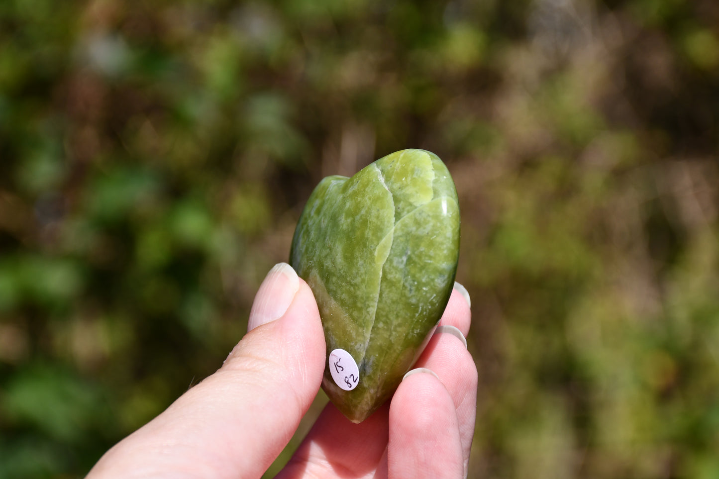 Serpentine heart