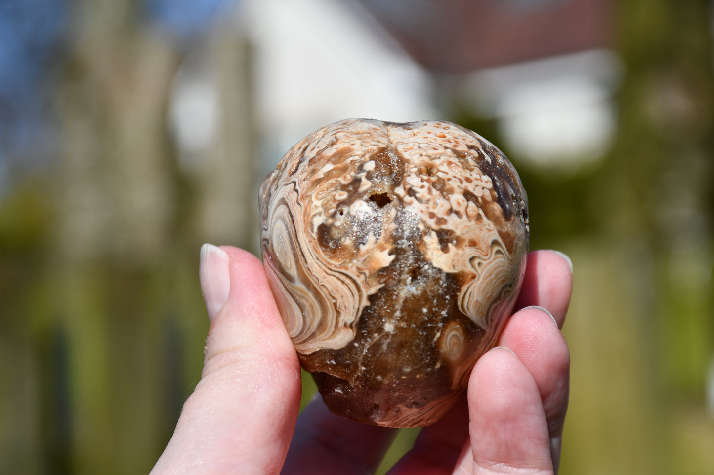 Aragonite with druzy star being