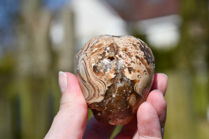 Aragonite with druzy star being