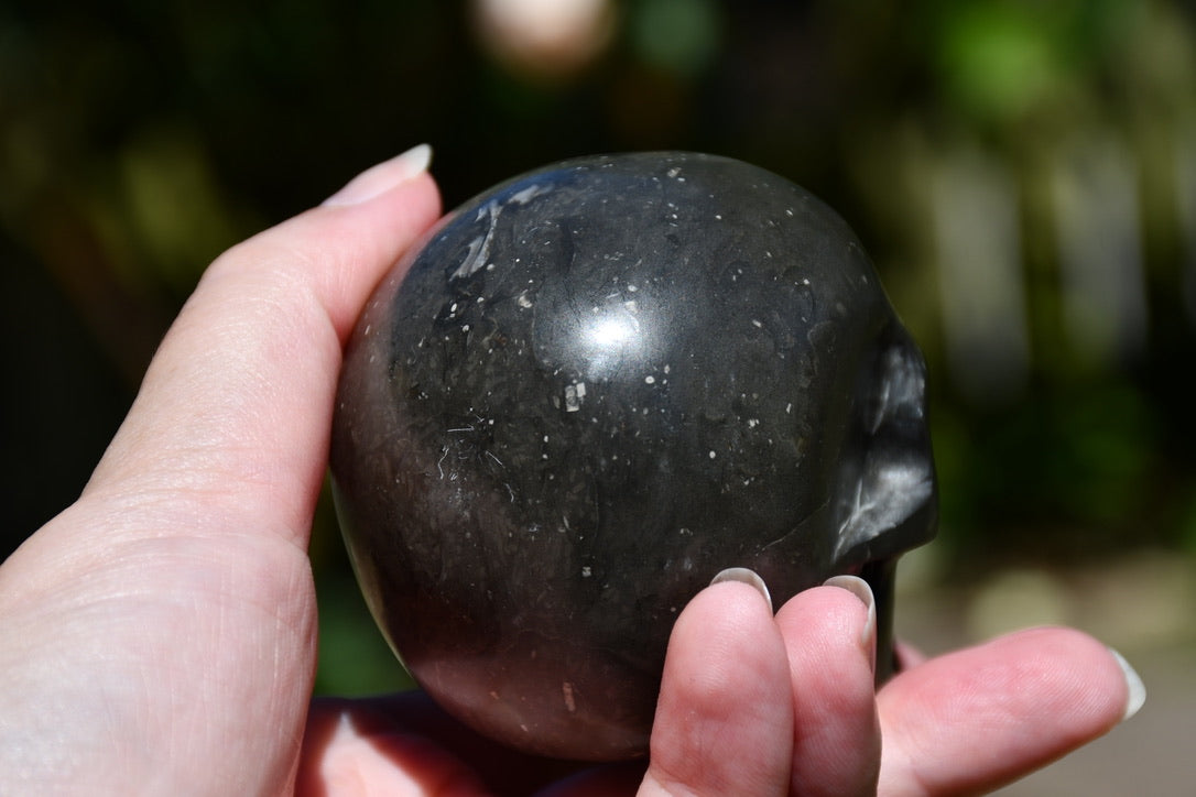 Avalon Stone Skull Carve