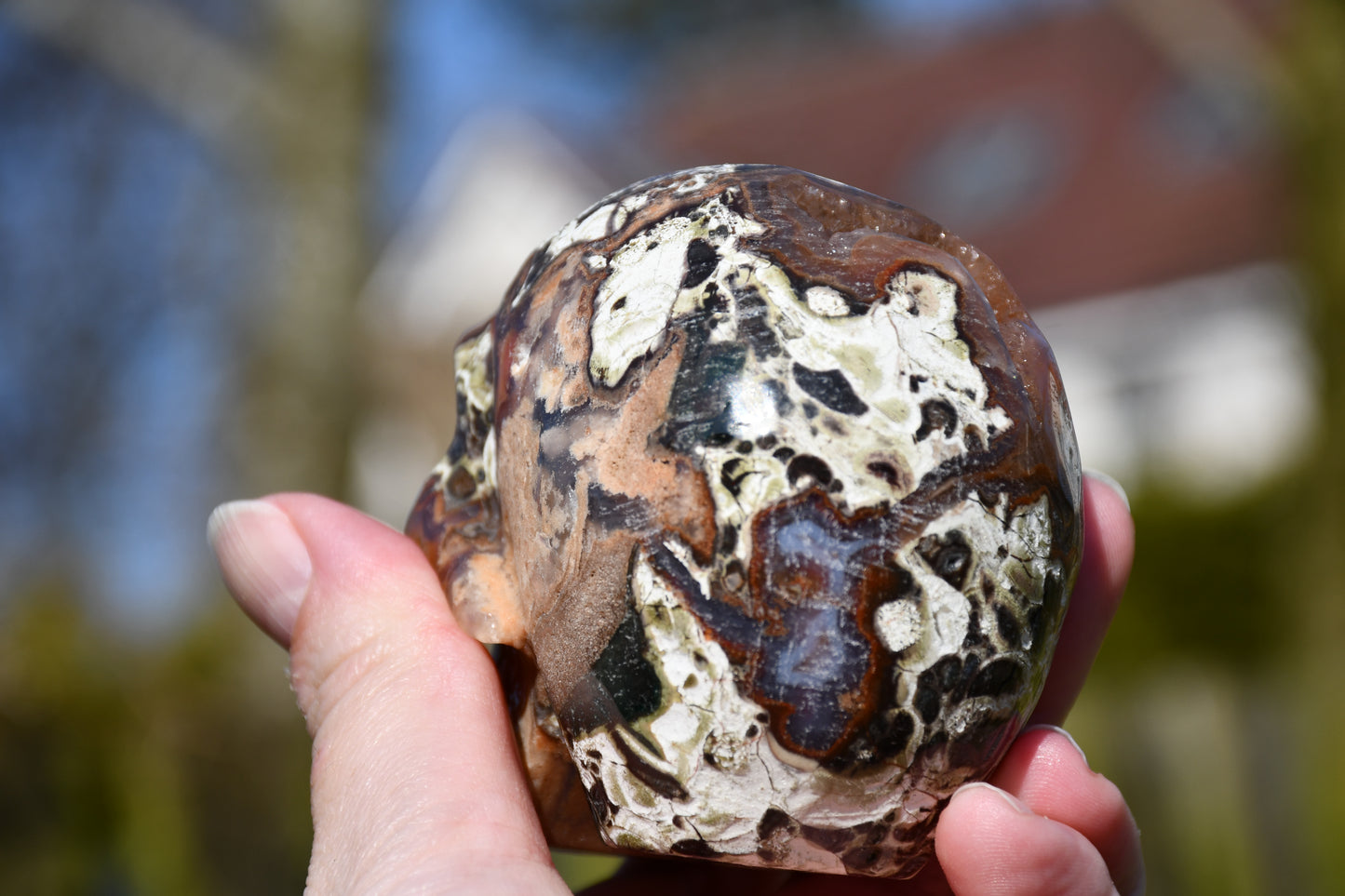 Rhyolite quartz skull