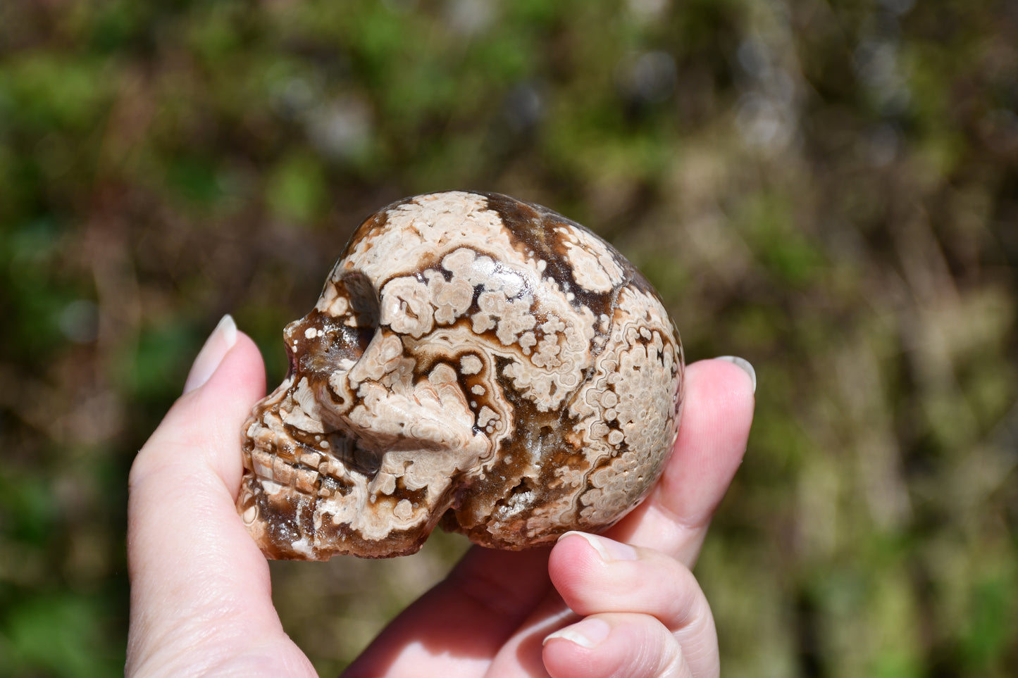 Aragonite carved skull