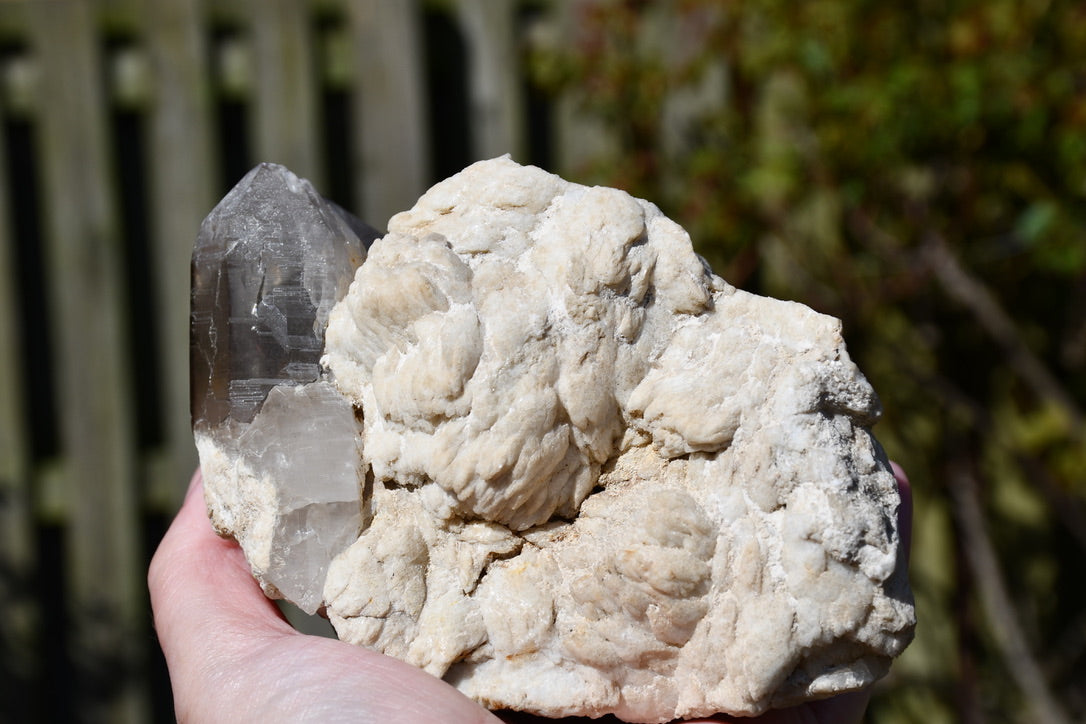 Himalayan smoky quartz and black tourmaline cluster