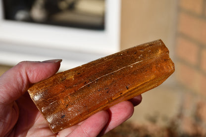 Copal or Amber with fossilised insects