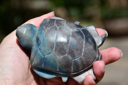 Trolleite or quantum quattro carved turtle