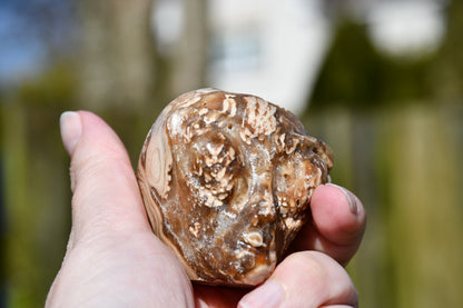 Aragonite with druzy star being