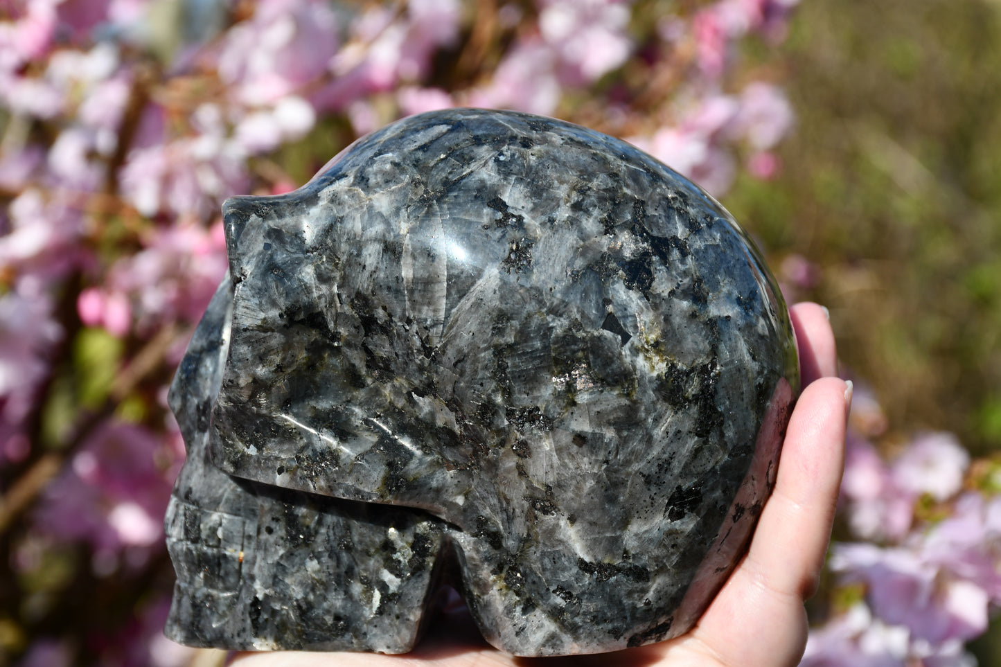Larvikite star being