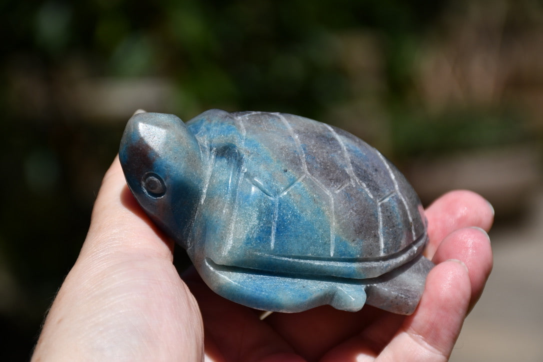 Trolleite or quantum quattro carved turtle