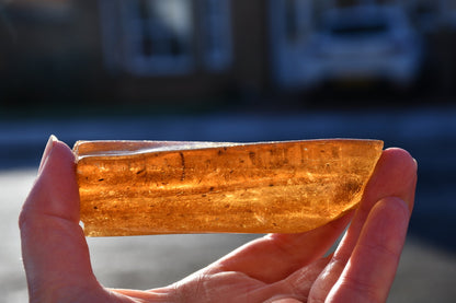 Copal or Amber with fossilised insects