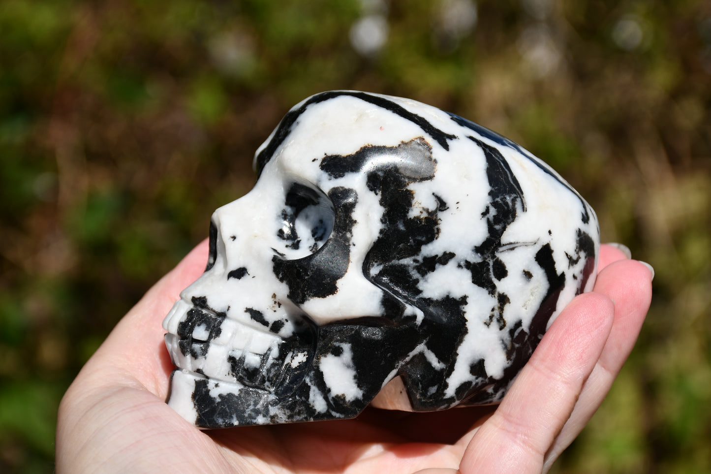 Zebra jasper skull carve