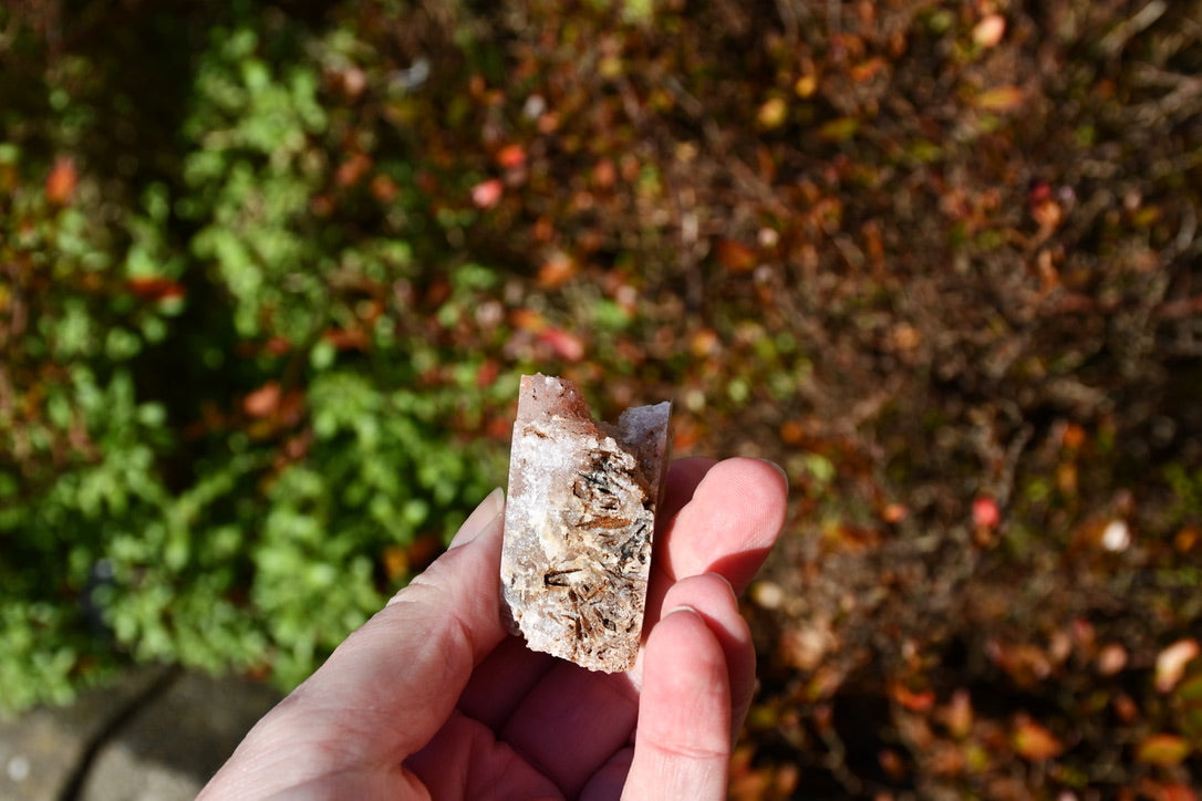 Pink amethyst butterfly carve - warrior